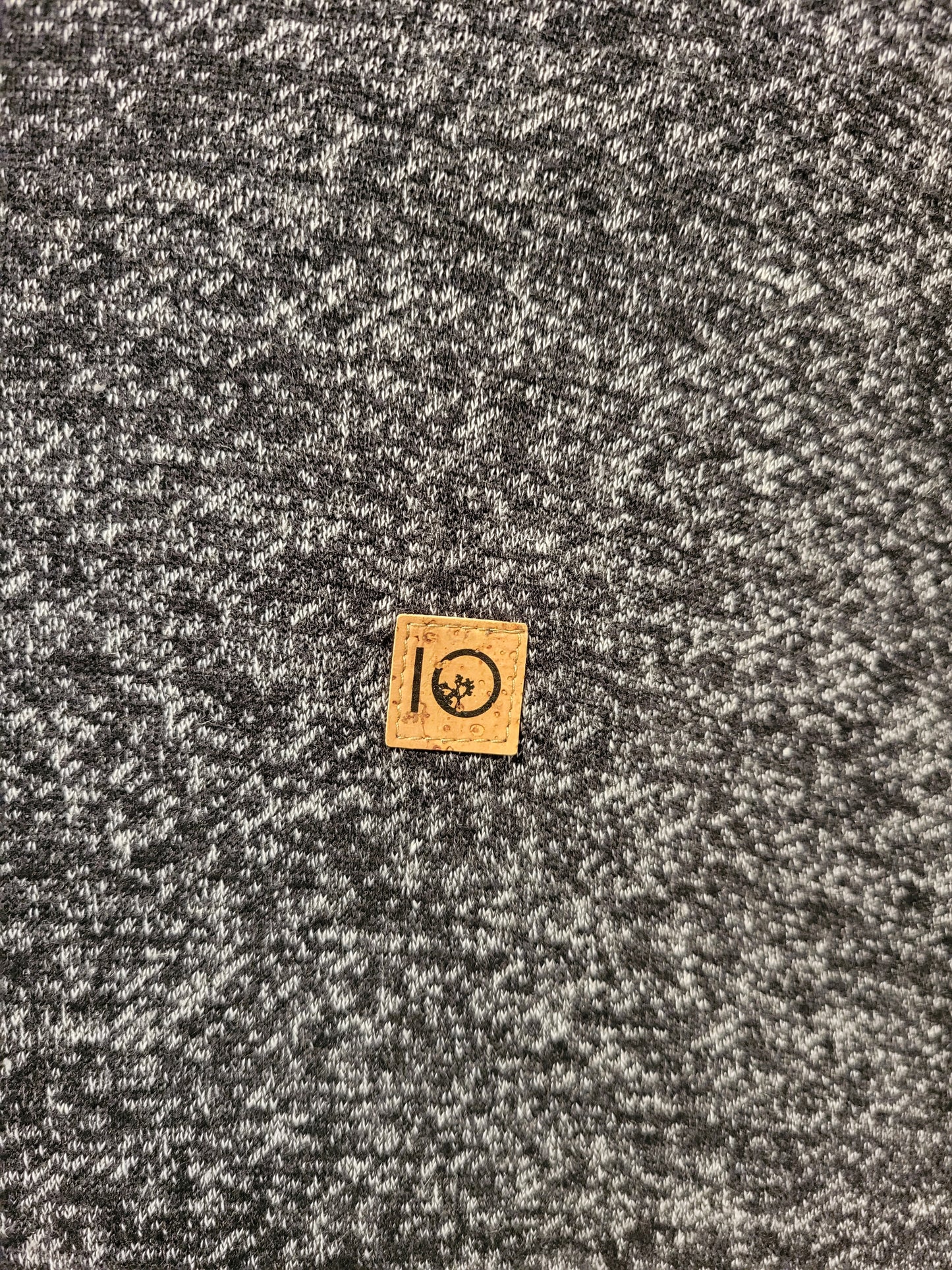 Tentree Valemount Oversized Hoodie